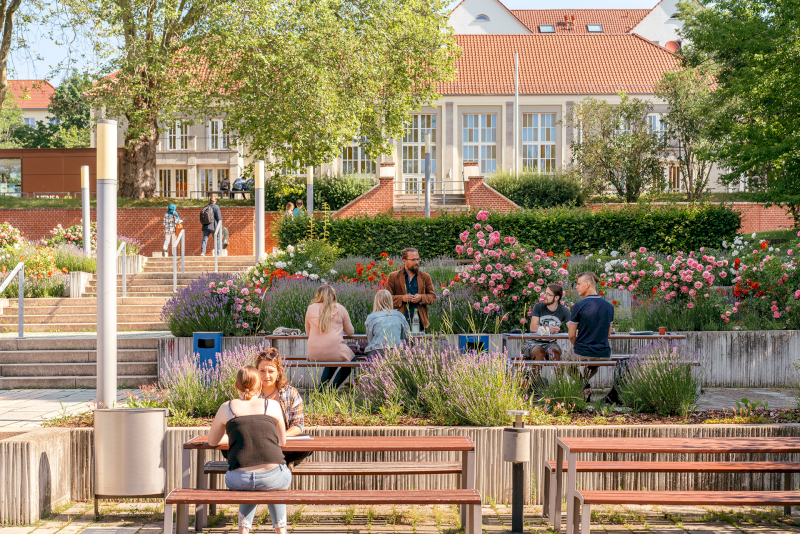 Trường dự bị đại học Nordhausen